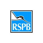 RSBP