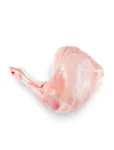 Hind leg