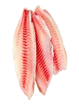 Tilapia fillet