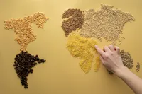 🫘 Lentils & Pulses