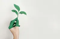 🌿 Vegan