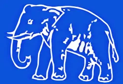 BSP(A)