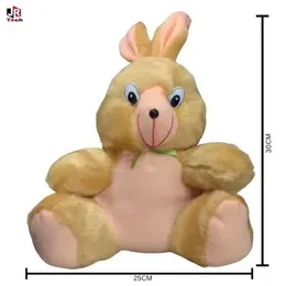 Cute & Cuddly Plush Bunny Rabbit