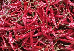 Hot Red Chili Pieces 250g Hot Red Chili Pieces 250g