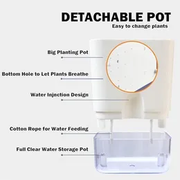 Casa De Amor Self Watering Pots for Indoor Plants | Home Decor, Living Room, Kitchen, Bedroom, Table Top, Office, Giftin