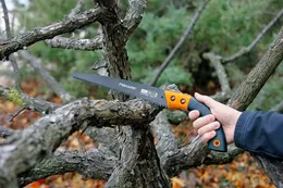 Purning saw