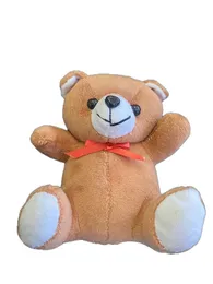 Teady bear DH07A