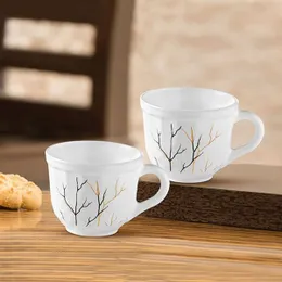 Opalâ¢ Classic Ceramic Tea Cup Set â 6 Pieces (160ml), Larah by Borosil Crysta Series Maya Opalware Mug | Set of 6 Te