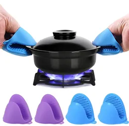 Silicone Pot Holder (2 Pcs)