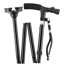 Trusty Cane Walking Stick