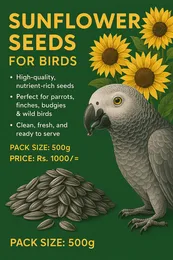 Sunflower Seeds, Parrot Sunflower Seeds Feed ,Sunflower Seed Meal for Birds