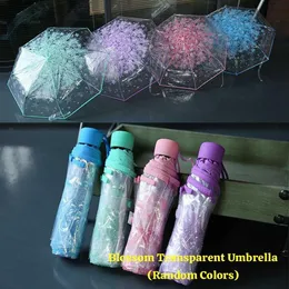 Blossom Transparent Umbrella (Random colors)
