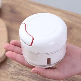 Mini Food Chopper,Electric Mini Garlic Chopper, Small Wireless Food Processor Portable Mini Garlic Choppers Blender Minc
