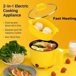 Electric multifunctional stew pot
