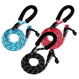 Nylon Pet Leash