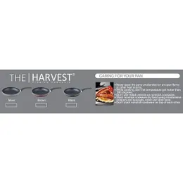 Premium Quality The Harvest Non Stick Fry Pan (SILVER/ BLACK / BROWN) 20 cm