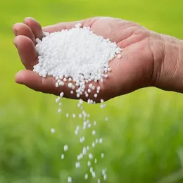 Urea Fertilizer for Home Gardening 1kg