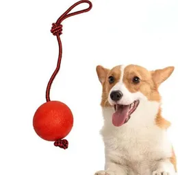 Dog Training Ball on Rope – Durable Tug & Fetch Toy for All Dog Sizes Non-Toxic Solid Rubber Ball with Heavy-Duty Nylon 