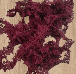 Maroon Colour Medium Lace 1 Inch, Fancy Lace, Laces for clothes and Dupta ,Baby Dresses and Frocks