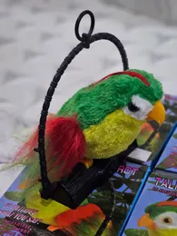 Voice Repeating Parrot Toy  Fun for Kids