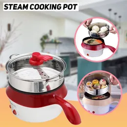 Steam Cooking Pot (P00558)