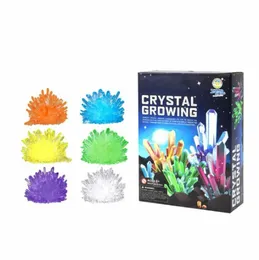 Crystal Growing Kit - DIY Educational Science Experiment STEM Exciting & Enriching Science Kit for Kids Boys Girls & Adu