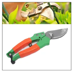 Precision Garden Pruning Shear (Sr. No 2025) Sharp Durable Garden & Plant Care Tool