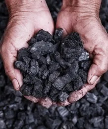 Natural coconut shell Charcoal -  300g