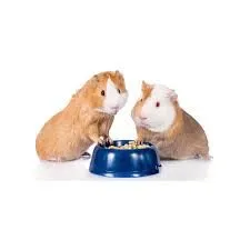 Rabbit Hamster Duck Guinea-Pig Food 1kg Pet Feed Pet Food 1kg (Cattle Food)