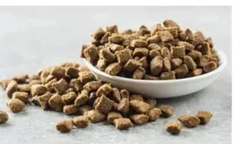 Petro Adult Dog Food 395g Chicken Flavor l Petro Adult Dog Food l Petro Dogfood