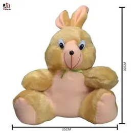 Cute & Cuddly Plush Bunny Rabbit