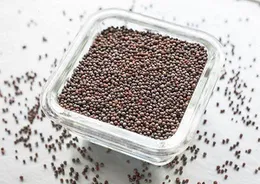 Mustard Seeds 250g