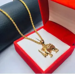 Gold Plated Soft Rope Chain With Lion Pendant For Women.