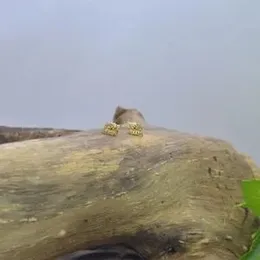 Gold Plated Stylish Design Beauty Stone Stud Earrings For Women.