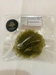 Gotukola String Hoppers
