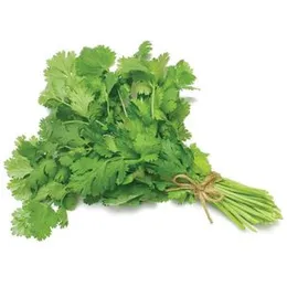 Holy Natural Coriander (Leaves) Powder - 100 GM
