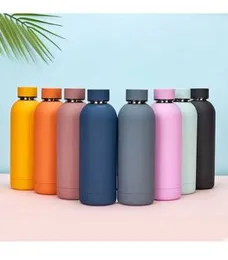 Insulated Stainless Steel 500ml Water Bottle