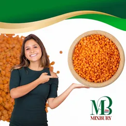 Mysoor Dhal 500g