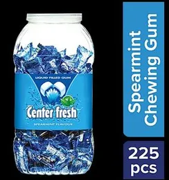 Center Fresh Spearmint Chewing Gum Jar 675g â 225 Pieces