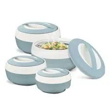 1000ml 2 Cosmos insulated food warmer set