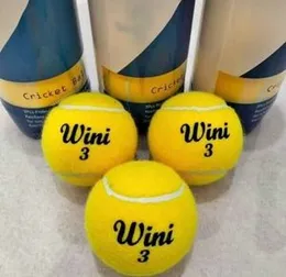3 Pcs Tennis balls