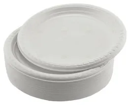 10 Pcs Plastic Serving Plates