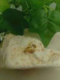 Gold Plated Earring small