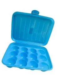 Durable 12-Slot Plastic Egg Storage Box with Lid
