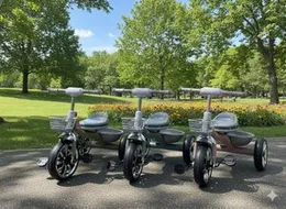 Kids Tricycle with Chrome Wheels & Front Basket â Stylish Ride-On Toy for Toddlers