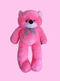 Small Bear (or Teddy Bear).