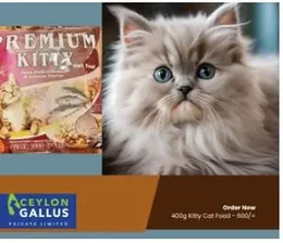 Cat Kitty Food Premium l Premium Kitty Food l Kitty Food Premium 400g - 600/=