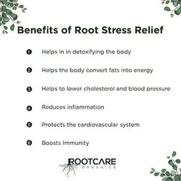 Rootcare Organics Plant Based Superfood (180g, Root Immune Booster Powder) LKR 8142.00