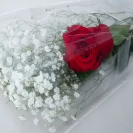 Single Rose Bouquet
