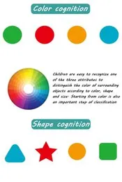 Four Color Game Wooden Toys Early Learning Montessori Toys For Children - Preschool Toys